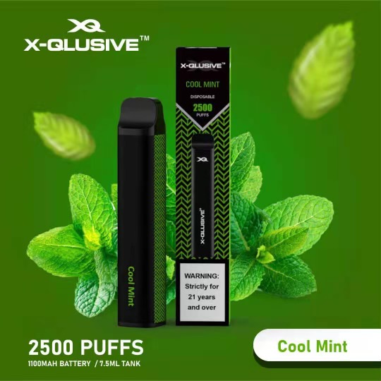 X-QLUSIVE COOL MINT – 2500 PUFFS